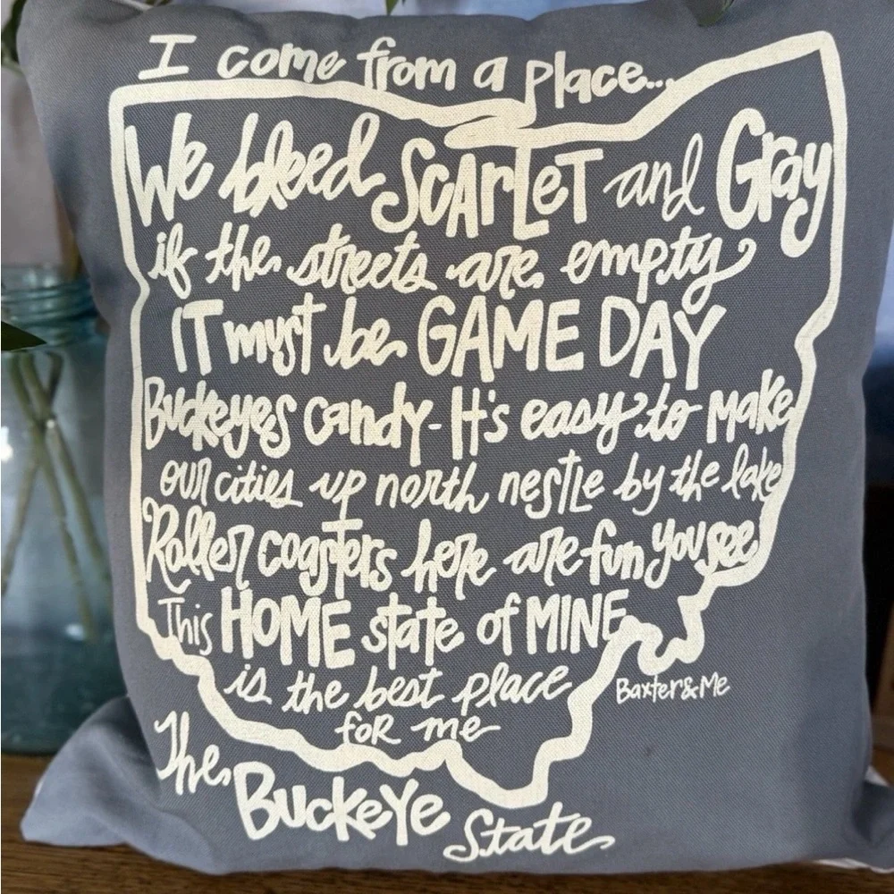 Ohio Buckeye State Decorative Pillow Baxter & Me Gray Game Day Ohio Home Decor